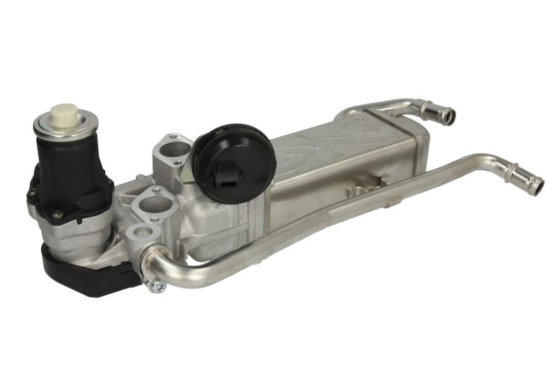 Enfriador EGR DELPHI EG10589-12B1 para Volkswagen Polo V