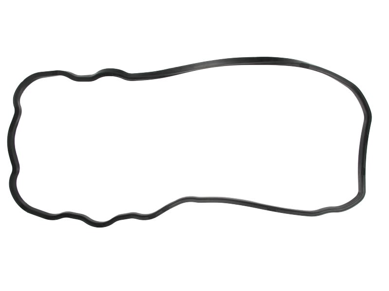 Empaquetadura de cárter de aceite REINZ 71-38062-00 para MAN TGS I