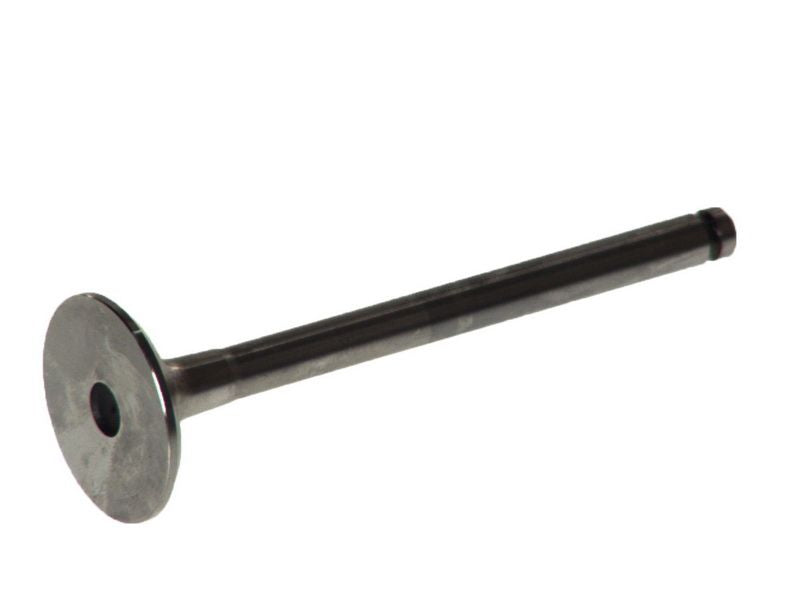 Válvula de admisión FRECCIA R6062/BM para Renault Clio I