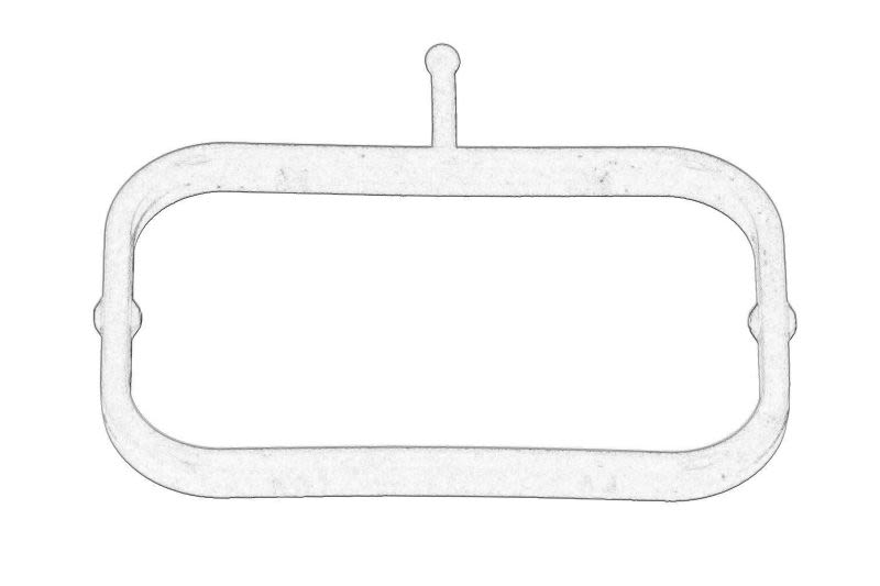 Empaquetadura de carcasa de termostato OE DAF DAF1933461