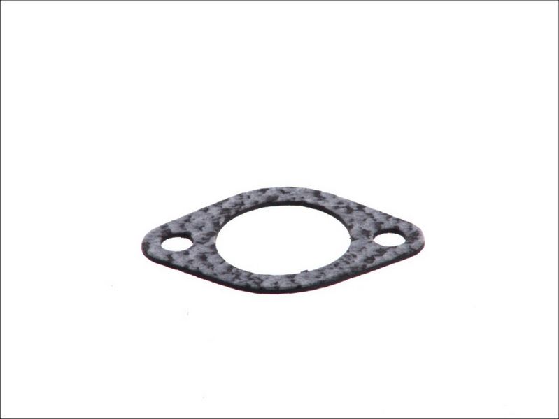Empaquetadura de bomba de agua LEMA 24018.00 para Iveco Daily I