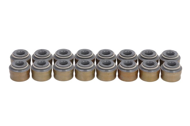 Juego de retenes de vástago de válvula REINZ 12-13109-01 para Ssangyong Tivoli