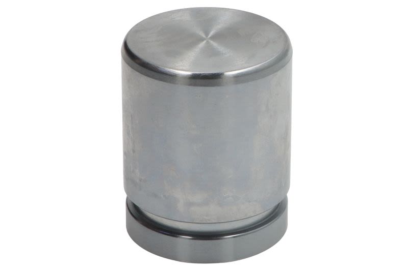 Pistón de cáliper de freno AUTOFREN SEINSA D025617 para BMW Serie 1 (F20) 2011-2019