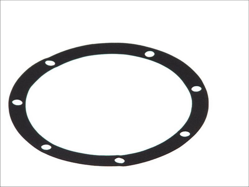 Empaquetadura de bomba de agua DT SPARE PARTS 6.30081 para RVI Magnum EE9-502-MIDR06.35.40P/41