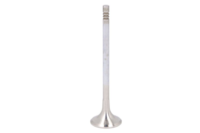 Válvula de escape TRW TRW111215 para BMW Serie 1 (E81) 2006-2011