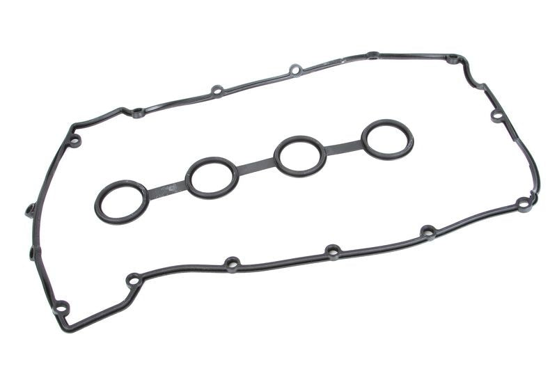 Juego de empaquetaduras de tapa de válvulas REINZ 15-34331-01 para Ford Transit 2.0/2.3/2.3LPG