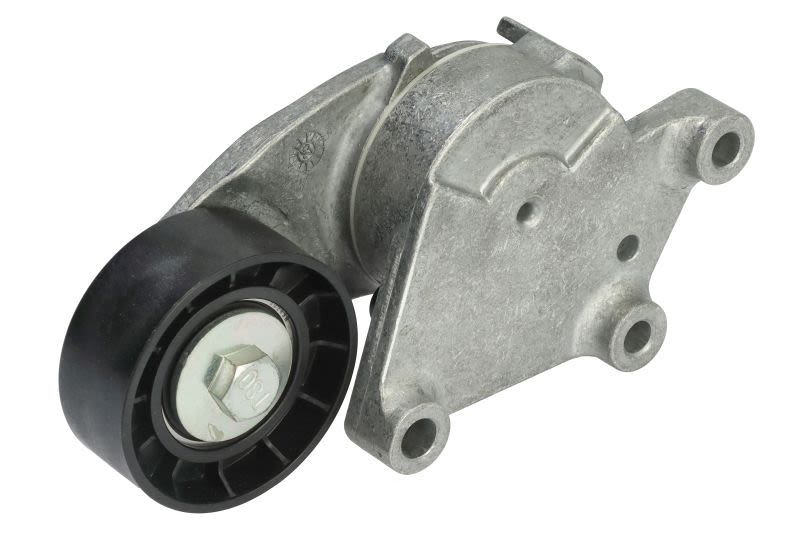 Palanca tensora de correa multicanal DAYCO APV2928 para Ford Fiesta VI