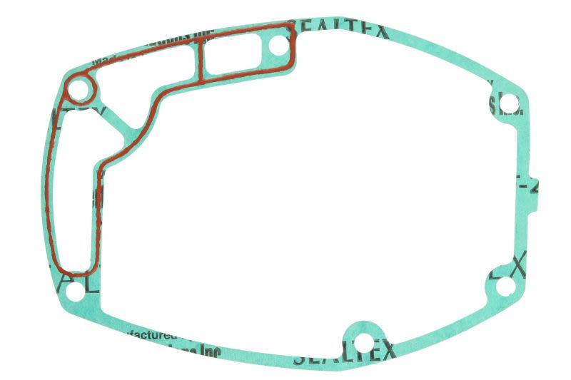 Empaquetadura de múltiple de admisión PARSUN F40-02010007 para Parsun F40FWL-T