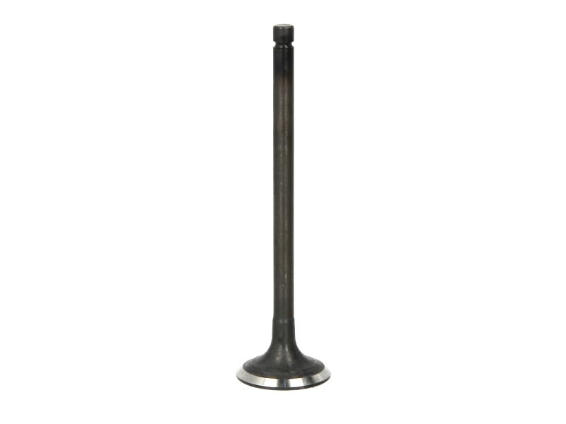 Válvula de admisión FRECCIA R6645/SNT para Opel Corsa D