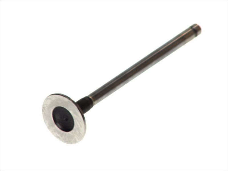 Válvula de escape FRECCIA R6097/RCR para Daewoo Nexi