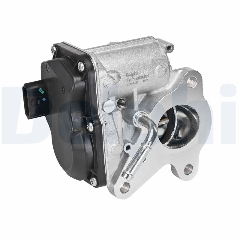 Válvula EGR DELPHI EG10747-12B1 para Nissan Navara NP300