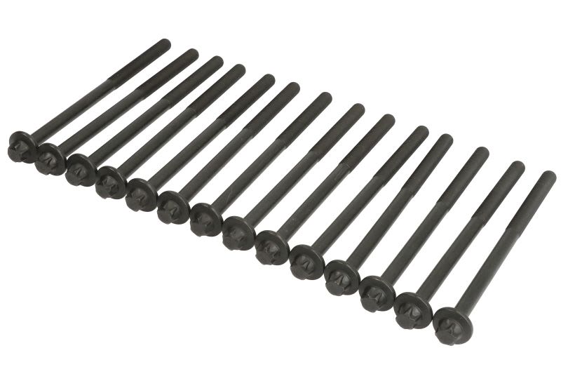 Juego de pernos de culata REINZ 14-10398-02 para BMW Serie 3 (E90) 2004-2011