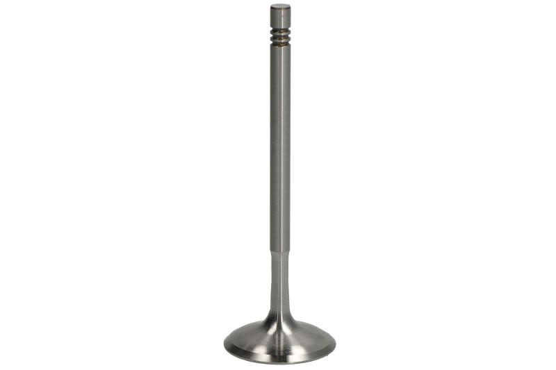 Válvula de admisión TRW 111229 para BMW Serie 5 (F10) 2010-2016