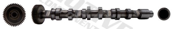 Árbol de levas MOTIVE T2625 para Volkswagen Polo V