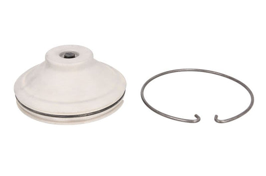 Tapa de masa de rueda FEBI 35181 para Scania K I