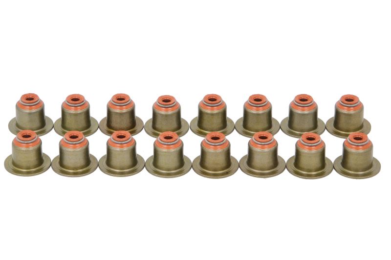 Juego de retenes de vástago de válvula REINZ 12-39398-01 para BMW Serie 1 (E81) 2006-2011