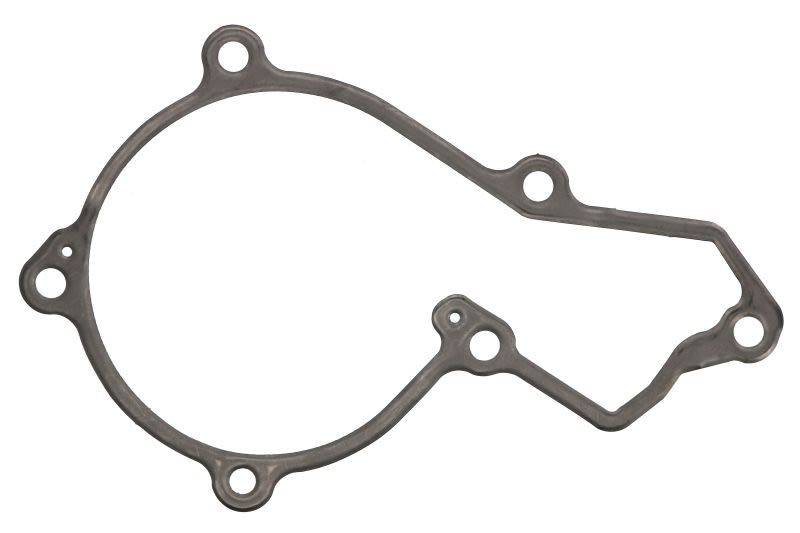 Empaquetadura de bomba de agua FP DIESEL R504885-FP para John Deere 320