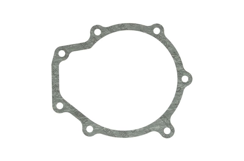 Empaquetadura de bomba de agua REINZ 70-36169-00 para Mercedes-Benz OF