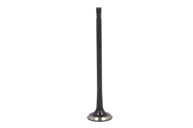 Válvula de escape DNJ EV1174 para RAM 1500