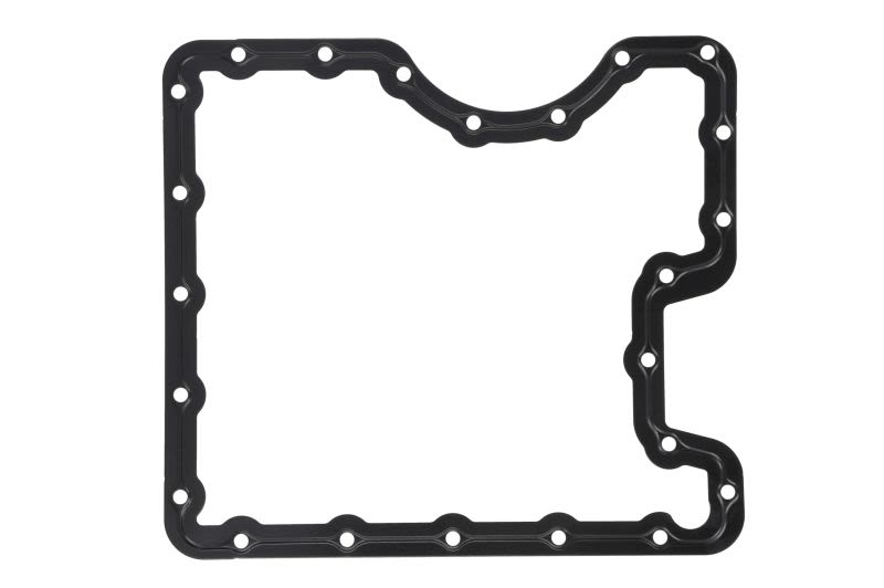 Empaquetadura de cárter de aceite ELRING 100.141 para BMW X5 (E53) 1999-2006