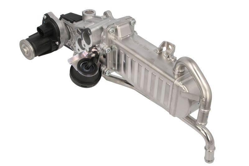 Válvula EGR BORG WARNER 710863D/1 para Volkswagen Polo V