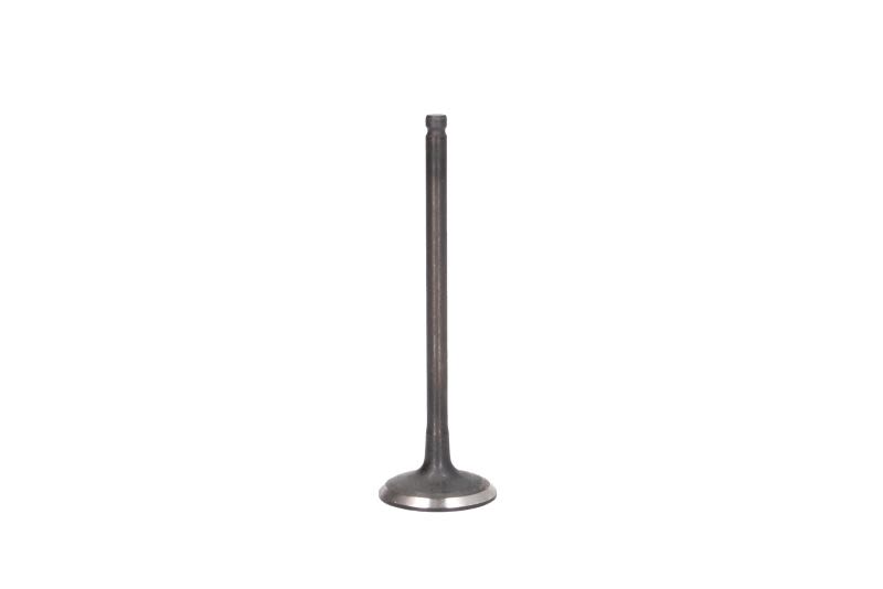 Válvula de admisión FRECCIA R6439/SNT para Toyota Yaris