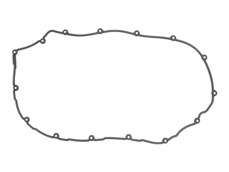 Empaquetadura, tapa de culata ELRING 660.561 para Volvo B7
