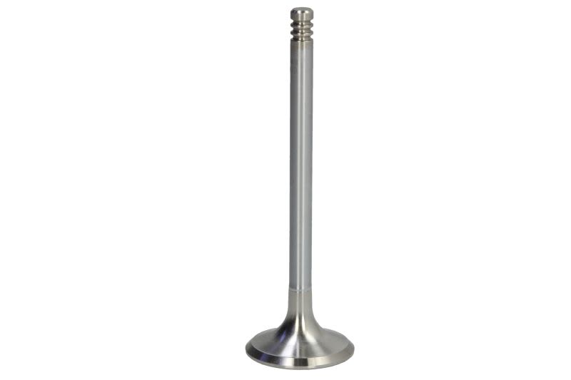 Válvula de escape NE 148035000500 para Opel Astra F