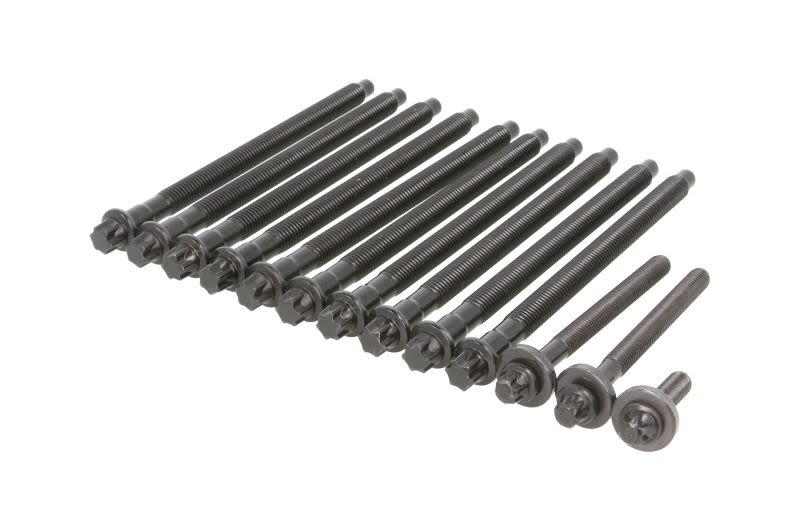 Juego de pernos de culata REINZ 14-32347-01 para Citroen C3 II