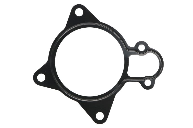 Empaquetadura de bomba de agua ELRING 369.930 para Peugeot Boxe