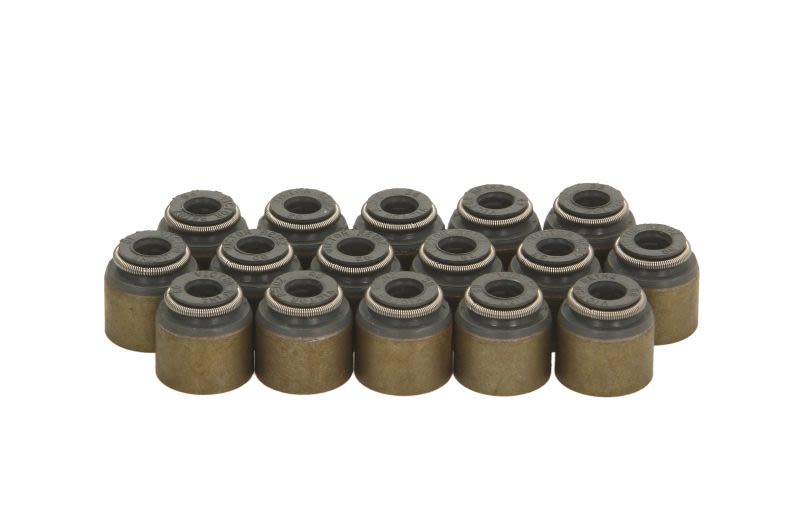 Juego de retenes de vástago de válvula REINZ 12-10031-01 para Mitsubishi Mirage VI
