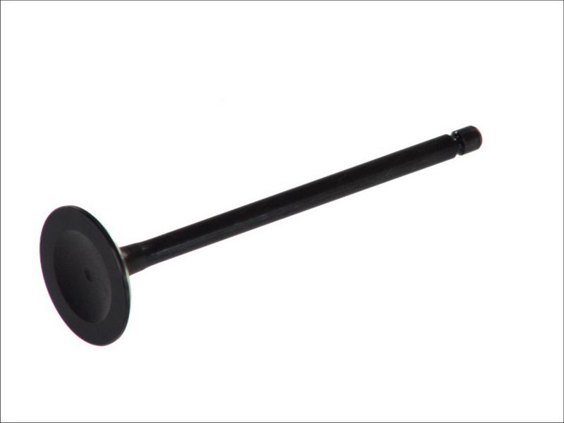 Válvula de admisión FRECCIA R6104/SNT para Mitsubishi L 300 III