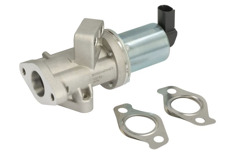 Válvula EGR BORG WARNER WA729019D para Hyundai H-1