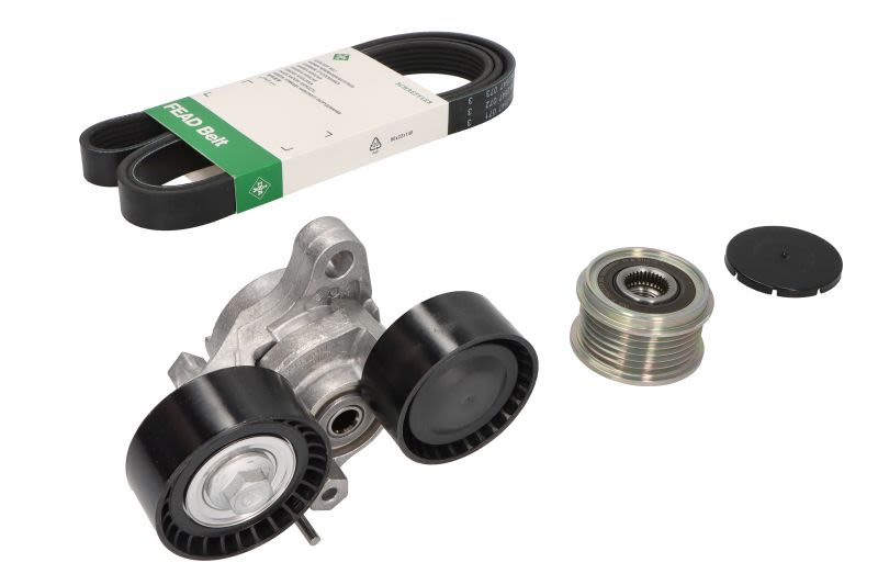 Juego de correa multinervada INA 529 0206 20 para BMW Serie 1 (F20) 2011-2019