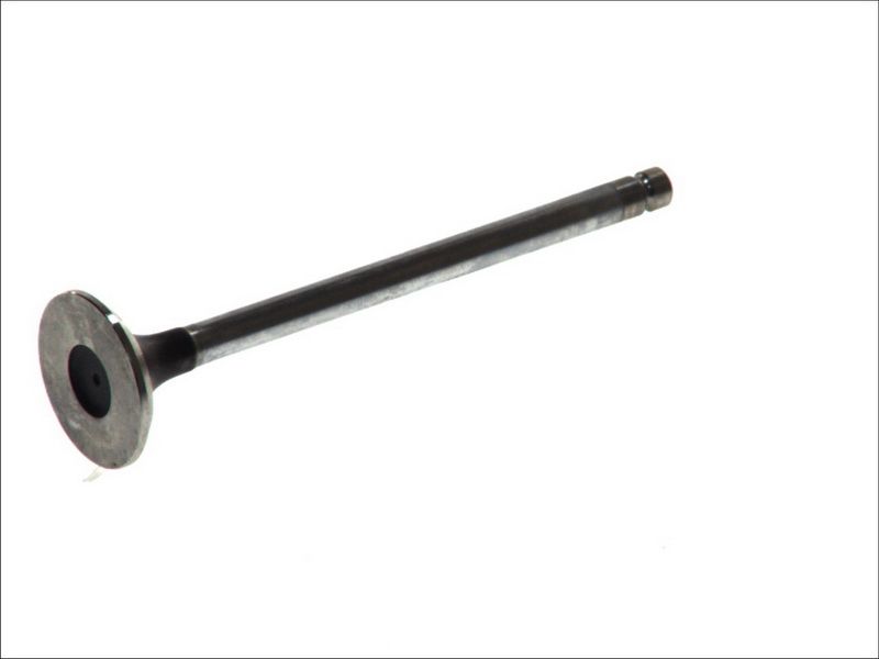 Válvula de escape FRECCIA R6283/RCR para Nissan Terrano II