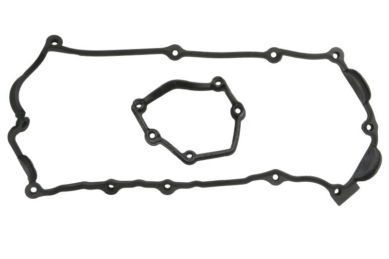 Juego de empaquetaduras de tapa de válvulas REINZ 15-37293-01 para BMW Serie 1 (E81) 2006-2011