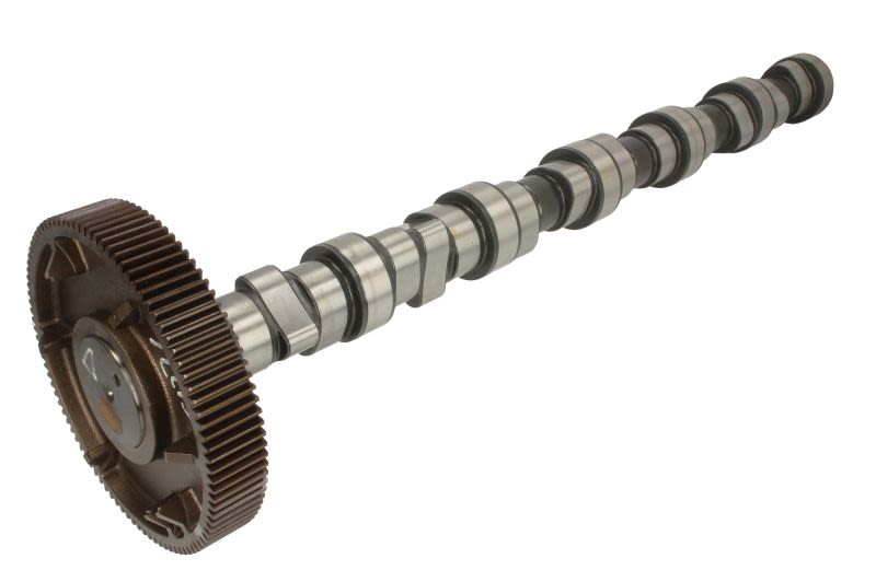 Árbol de levas BF 20100520136 para Deutz Fahr X