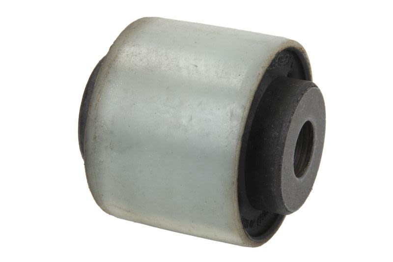 Barra/Puntal de suspensión REINHOCH RH15-2003 para Renault Duste