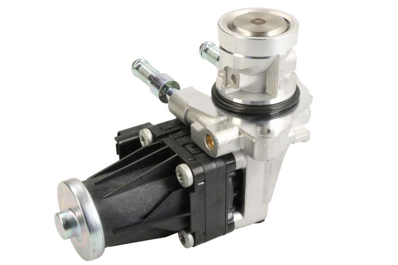 Válvula EGR DELPHI EG10749-12B1 para Citroen C3 III