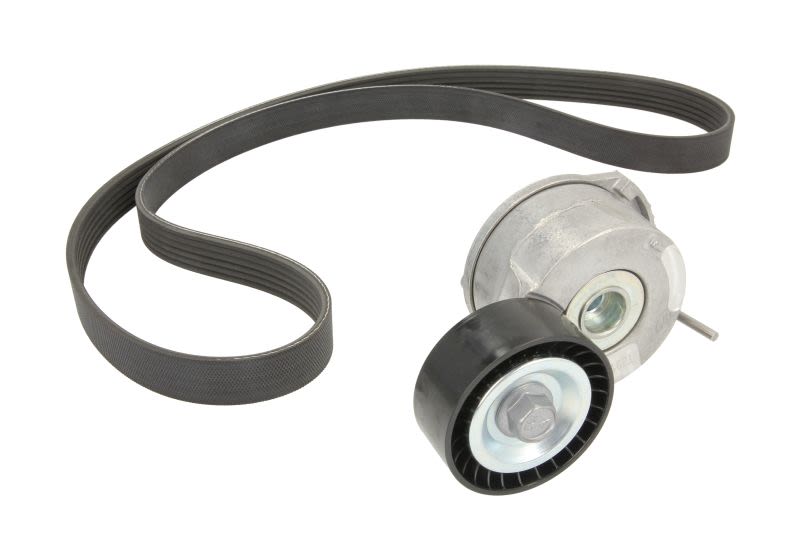 Juego de correa multinervada GATES K046PK1245 para Ford Focus III