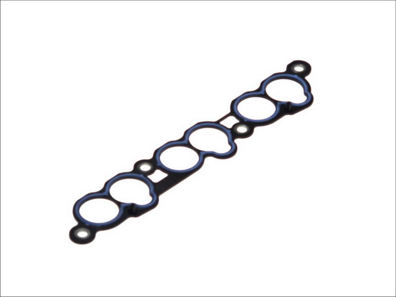 Empaquetadura de múltiple de admisión ELRING 025.300 para Ford Coug