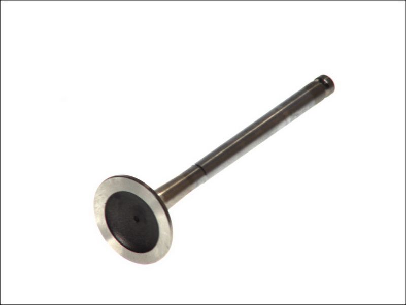 Válvula de escape FRECCIA R6154/RCR para Fiat Palio