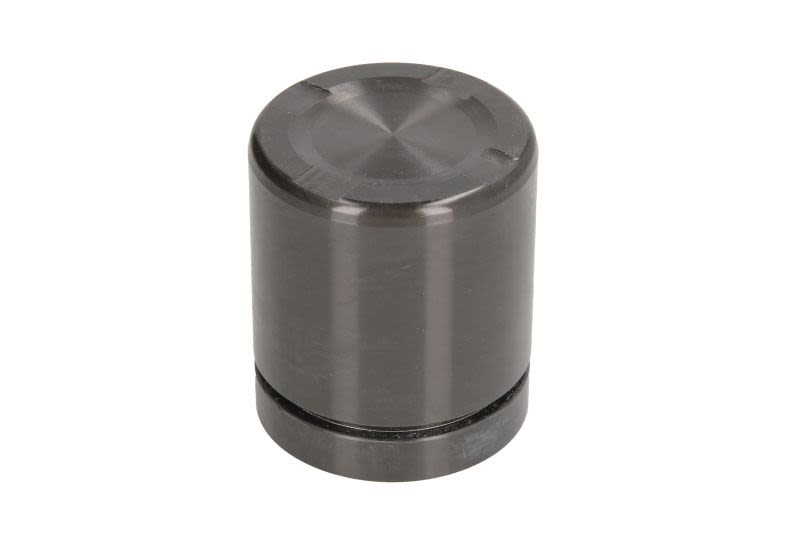 Pistón de cáliper de freno AUTOFREN SEINSA D025553 para BMW X5 (E70) 2006-2013