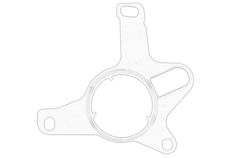 Empaquetadura de bomba de vacío OE PEUGEOT 457019 para Citroen C4 II