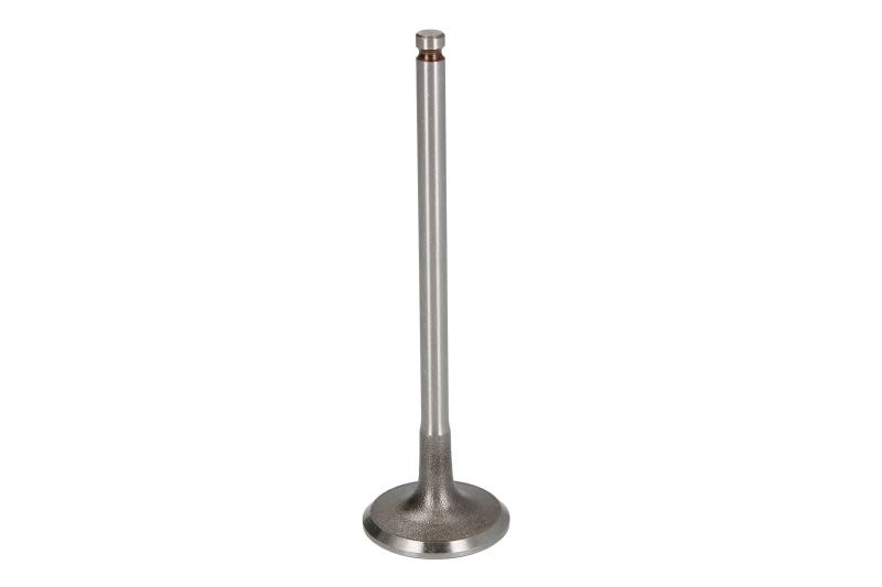 Válvula de admisión FRECCIA R6952/S para Citroen C3 II