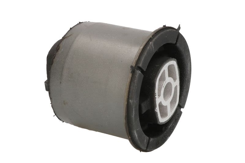 Buje de travesaño de eje REINHOCH RH20-2008 para Citroen C3 I