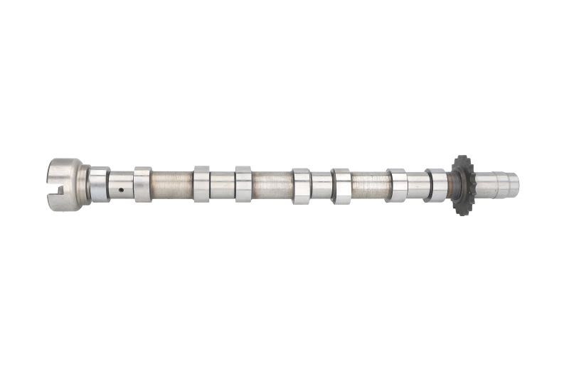 Árbol de levas AE CAM975 para Jaguar XF I