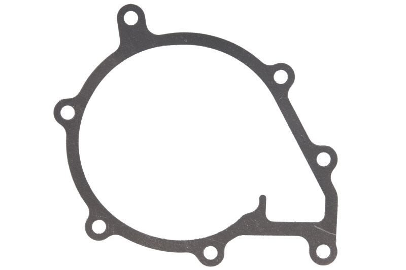 Empaquetadura de bomba de agua ENGITECH ENT010893 para Fendt 520 Xylon