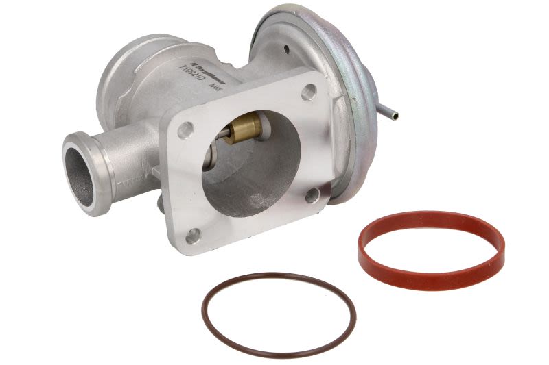 Válvula EGR BORG WARNER 710921D para BMW Serie 3 (E46) 1997-2006