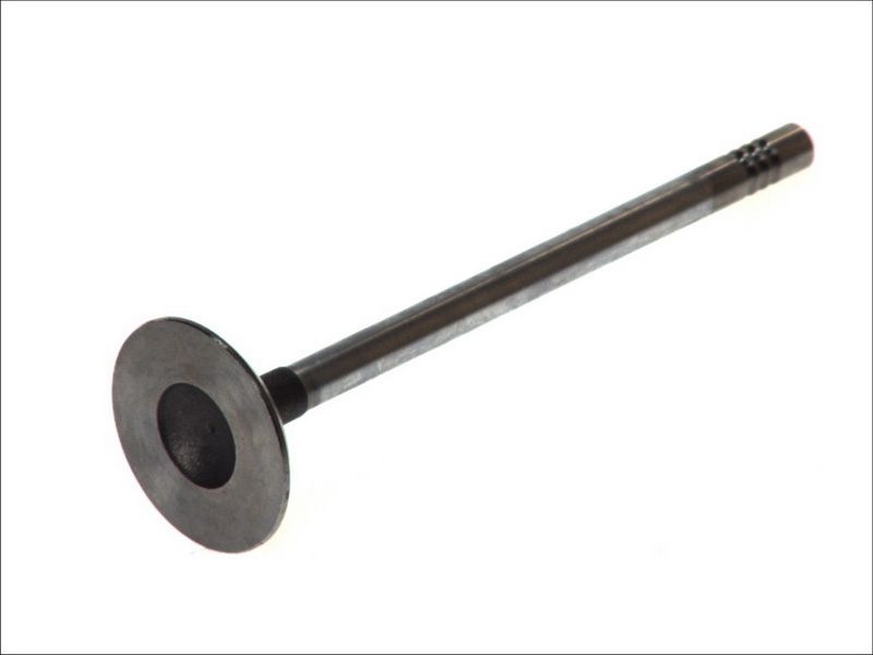 Válvula de admisión FRECCIA R4273/SCR para Ford Fiest